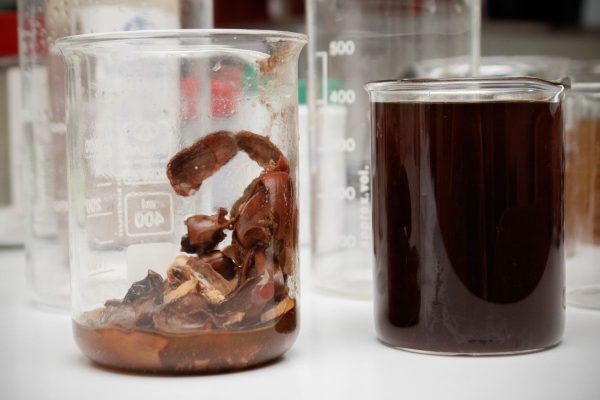 Čakšire: Zero Waste konstrukcija i prirodno bojenje – Proces 6 Foto Aljoša Ninković