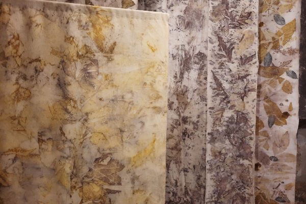 Petel Paun - Learning by Doing (10) Petel Paun - Learning by Doing (10)