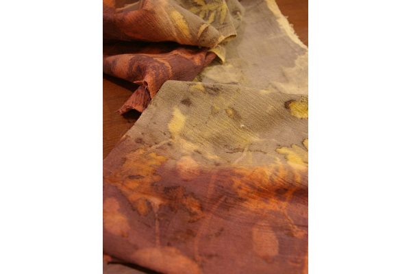 Petel Paun - Learning by Doing (12) Petel Paun - Learning by Doing (12)