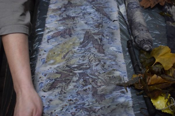 Petel Paun - Learning by Doing (14) Petel Paun - Learning by Doing (14)