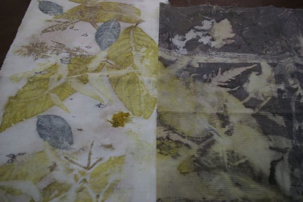 Petel Paun - Learning by Doing (15) Petel Paun - Learning by Doing (15)