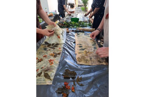 Petel Paun - Learning by Doing (2) Petel Paun - Learning by Doing (2)