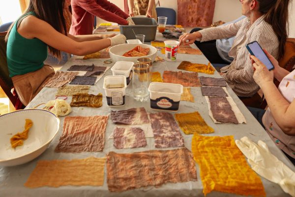 Petel Paun - Learning by Doing (6) Petel Paun - Learning by Doing (6)