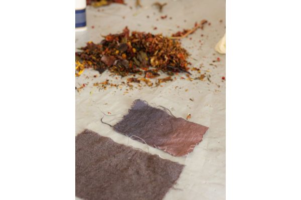 Petel Paun - Learning by Doing Petel Paun - Learning by Doing