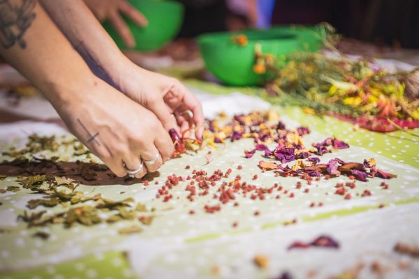 Petel Paun - Learning by Doing (7) Petel Paun - Learning by Doing (7)